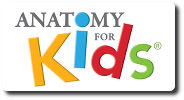 Anatomy for Kids - Book Store